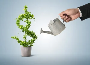 Finansų tvarkymas ir investicijos: du neatskiriami elementai